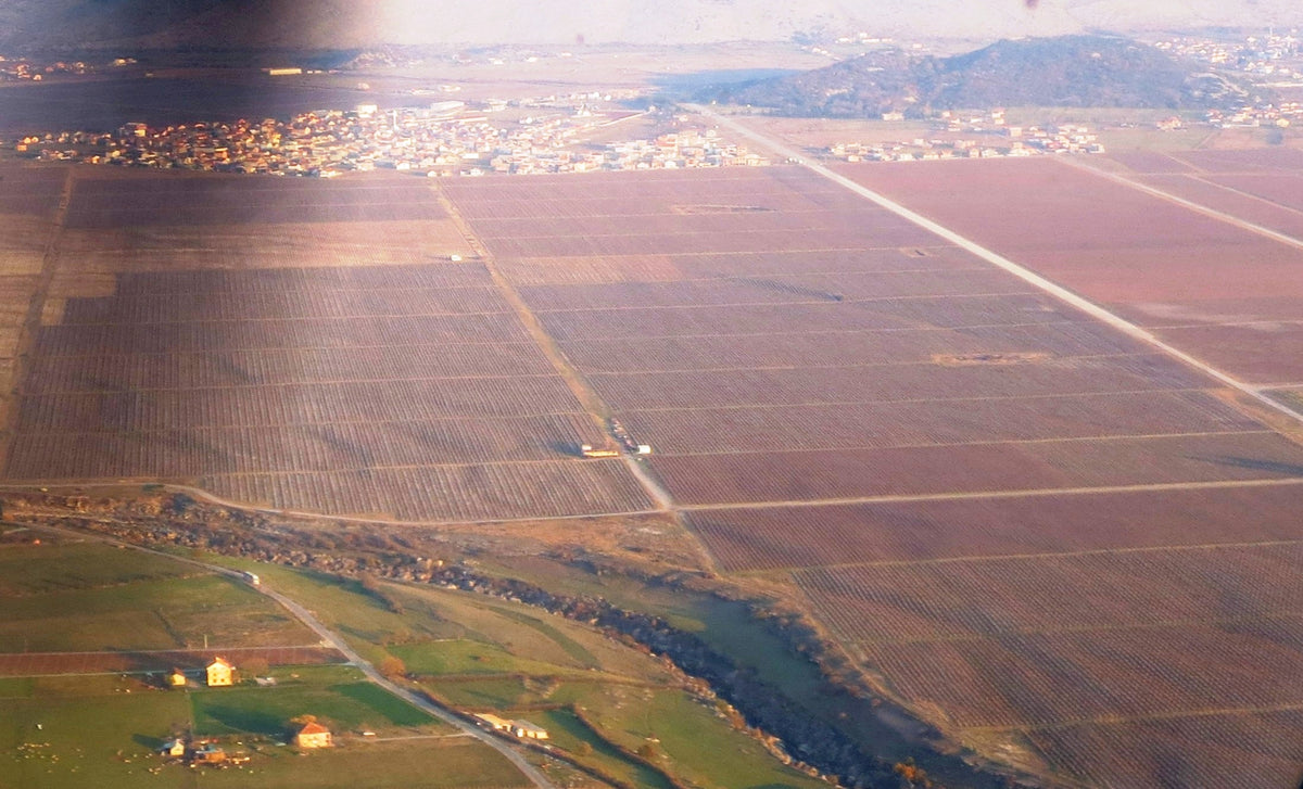 Aerial view of the Plantaze vineyards near Podgorica, Montenegro's largest wine region